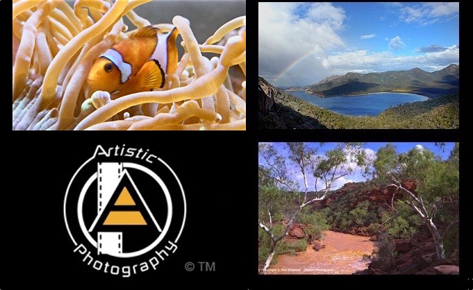 photographic art